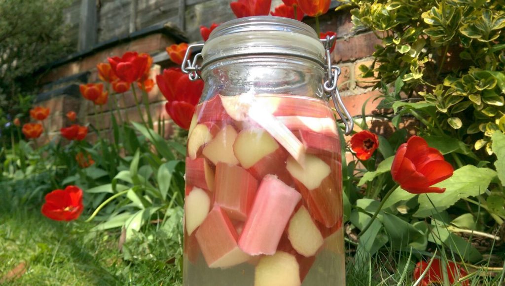 Rhubarb Gin Liqueur 500ml The Food Library